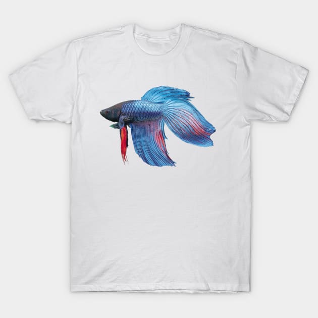 halfmoon bettafish T-Shirt by MACIBETTA